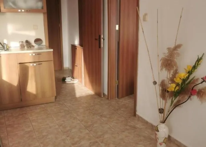 Blue Komfort Lägenhet Slăntjev Brjag